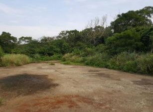 新豐松柏段工業地(可分割)35