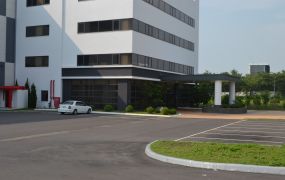大埔美園區全新廠辦-A1530