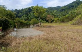 鹿谷初鄉段後花園景觀農地台中買屋賣房,土地王劉志忠