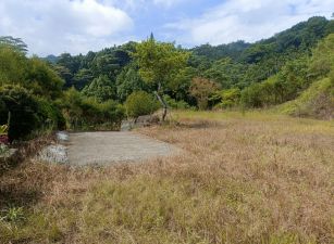 鹿谷初鄉段後花園景觀農地台中買屋賣房,土地王劉志忠