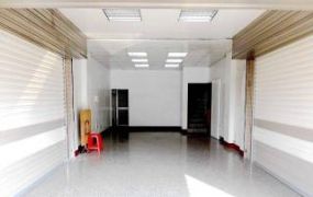橋頭科學園區麥當勞旁鑫店面