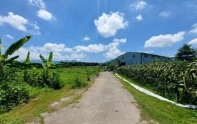台南玉井2.4甲觀光果園農場