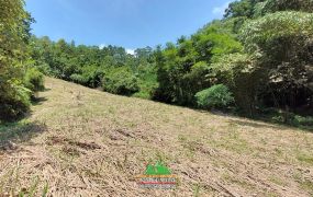 橫山大山背舒心養生休閒地B區-新竹縣土地王