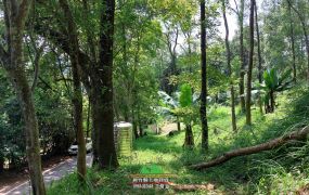 橫山大山背舒心養生休閒地A區-新竹縣土地王