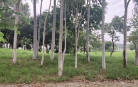 台南高鐵站豪宅建地