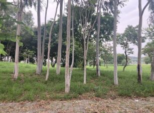 台南高鐵站豪宅建地