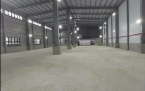 五股工業區全新挑高鋼構廠房64
