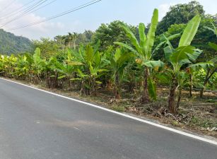 近南投市交流道增值地