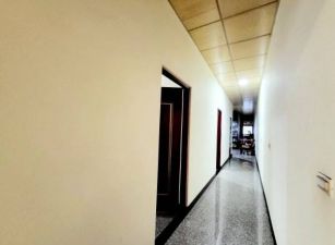 桃園市八德區麻園近正介壽路廠房