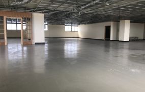 幼獅工業區可分租廠辦51