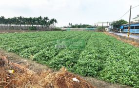 「住商坤堯」近公館國小三角窗農地