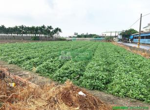 「住商坤堯」近公館國小三角窗農地