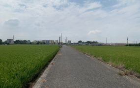 溪口厝子農地01-032 052337228