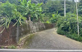 鹿谷初鄉段後花園三合院建地加林地台中買屋賣房土地王劉志忠台中北屯捷運,捷運總站