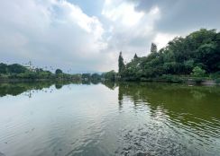 劍湖山民宿餐廳農地09-060 052337228