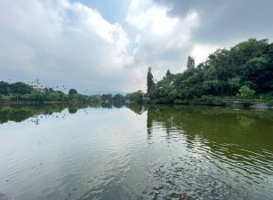 劍湖山民宿餐廳農地09-060 052337228