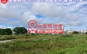 台東房地產 / 双12米路三角窗建地