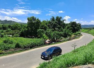 南投市8米露美農地(2531)
