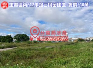 台東房地產 / 双12米路三角窗建地
