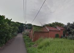 觀音 樹林國小【稀有】甲建