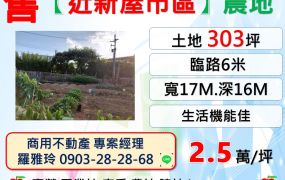 【近新屋市區】臨6米路美農地(生活機能佳)