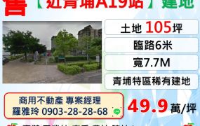 獨家~【近青埔A19站步行六分鐘】多用途建地