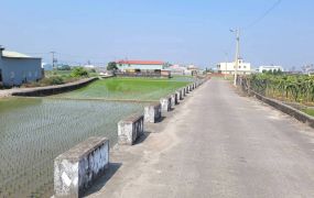 國三雙面路528農地
