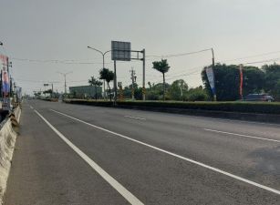新園大路邊農地