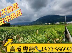 吉安鄉福興村近台九線低總價都內農地