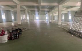 近南桃園交流道正路邊RC廠(B)56