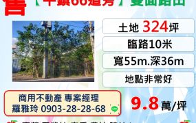 【平鎮66道旁】大面寬雙面路324坪一般農業區田地