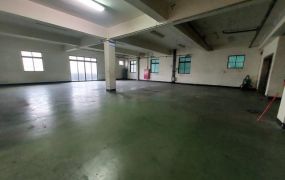 大湳交流道RC廠房出租21