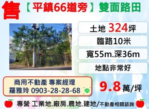 【平鎮66道旁】大面寬雙面路324坪一般農業區田地