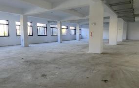 中壢工業區30米路全新廠辦66