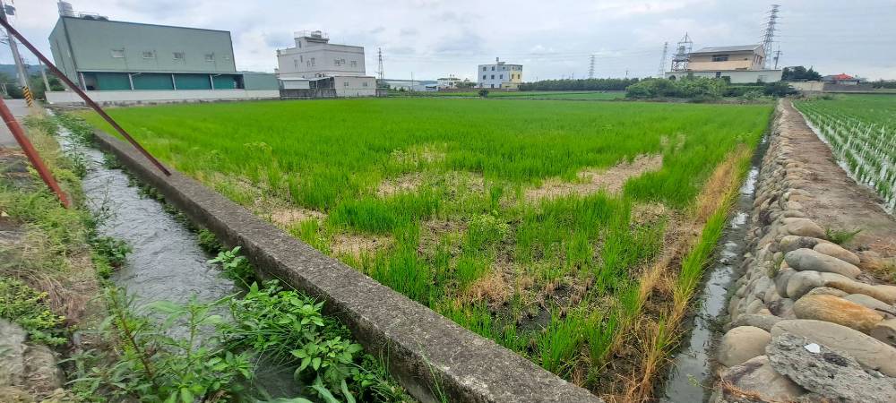 草屯交流道朝南大面寬農地