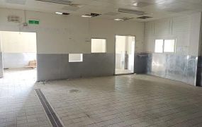 觀音崙坪RC分租廠房61