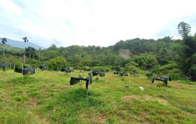 ☆東山9.1甲農地有水有電+平房