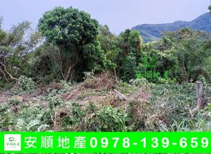 台東農地-知本都內農地