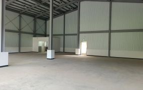 龍潭鋼構倉庫廠房A44