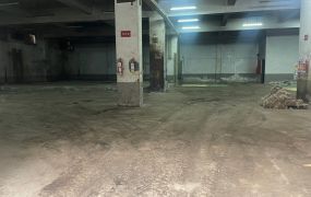 新屋近66分租合法超值倉庫56