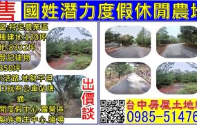 國姓潛力度假休閒農地+建地