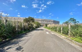 大園 三面臨路【航空城】方正建地