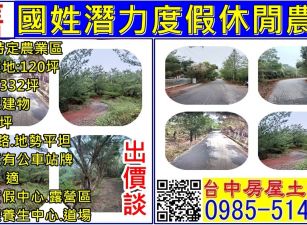 國姓潛力度假休閒農地+建地