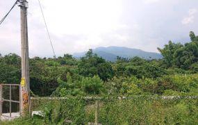 竹崎自來水公司旁農地2 09-015 052337228