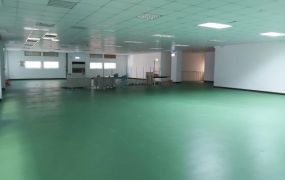 楊梅幼獅RC廠房43