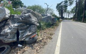 大樹稀有大地坪建地