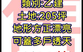 彰化國聖建地 地形方正  可蓋多戶