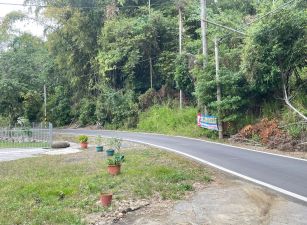 三界埔農地08-015 052337228