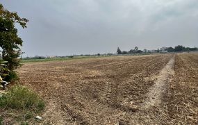 近民雄一高交流道農地1792坪09-110 052337228