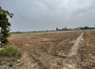 近民雄一高交流道農地1792坪09-110 052337228